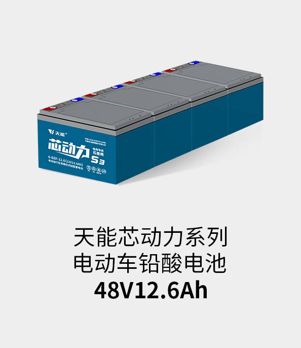 9599九五至尊电池48v12ah
