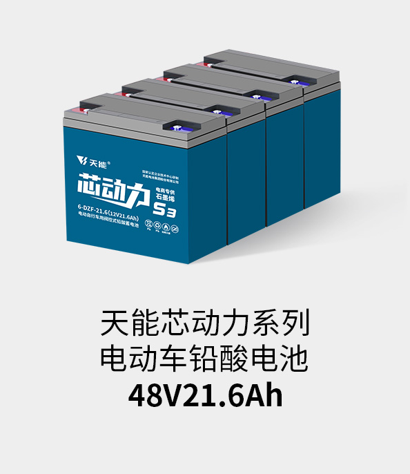9599九五至尊电池48v20ah