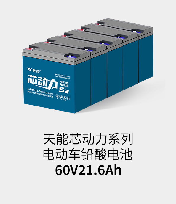 9599九五至尊电池60v20ah