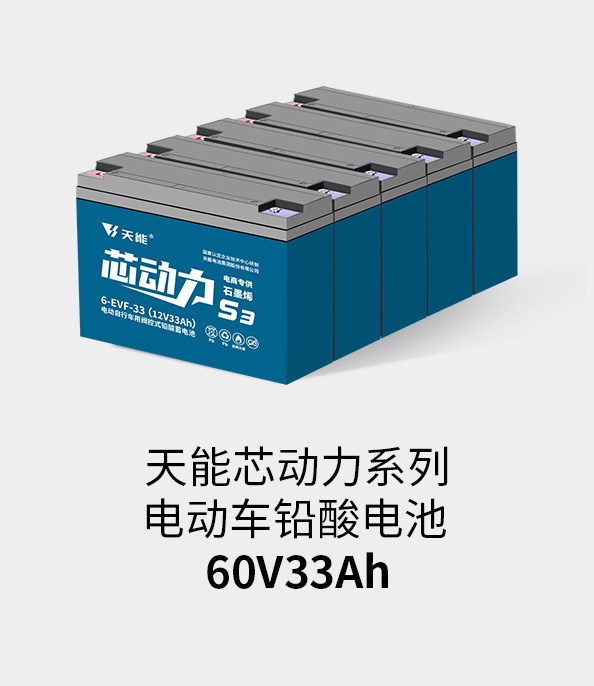 9599九五至尊电池60v33ah