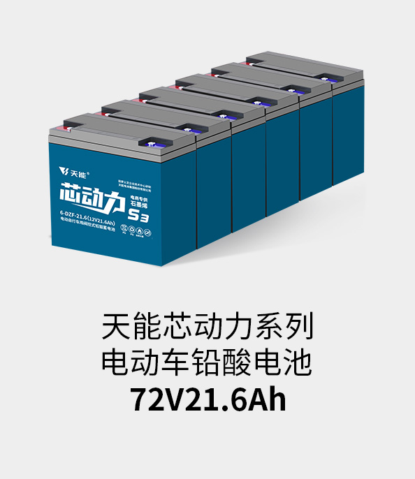 9599九五至尊电池72v20ah