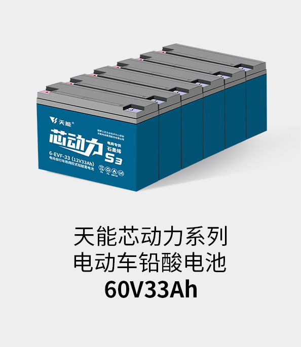 9599九五至尊电池72v33ah