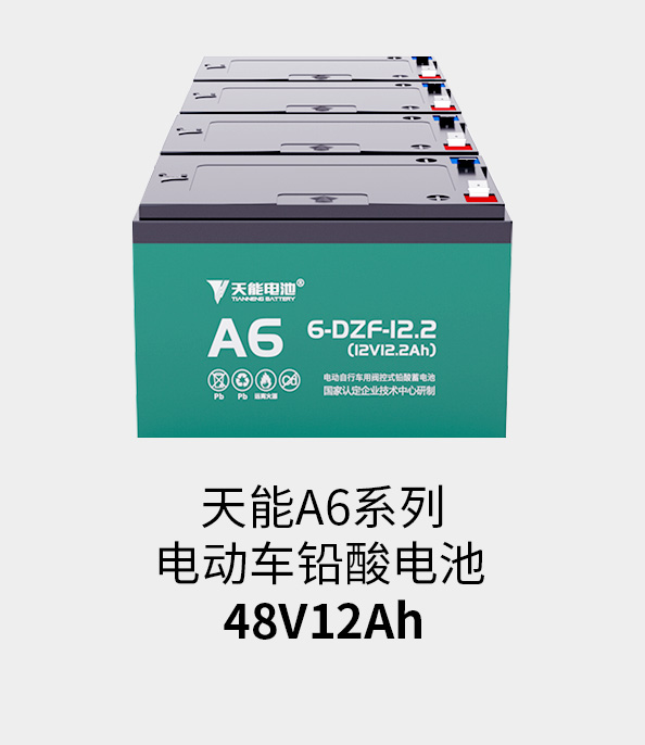 9599九五至尊电池48v12ah