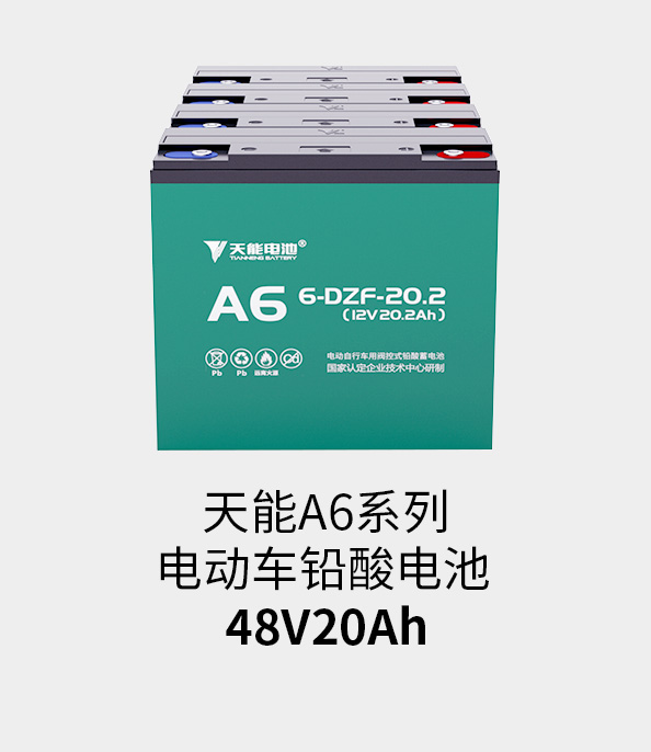 9599九五至尊电池48v20ah
