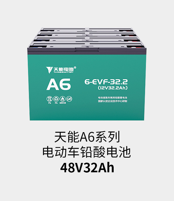 9599九五至尊电池48v32ah