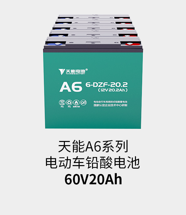 9599九五至尊电池60v20ah