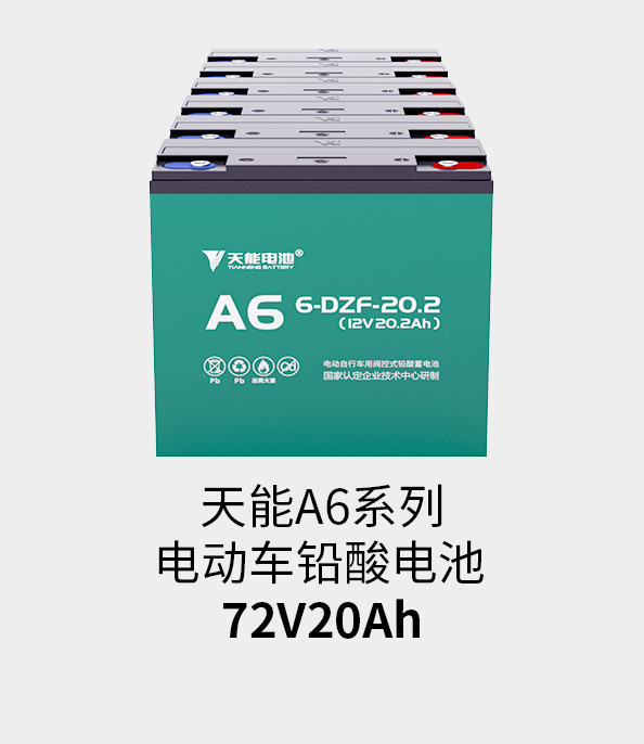 9599九五至尊电池72v20ah
