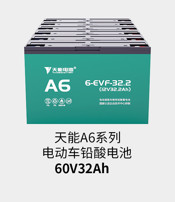 9599九五至尊电池72v33ah