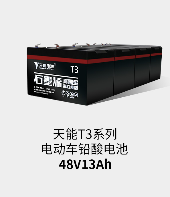 9599九五至尊T3系列48v13ah