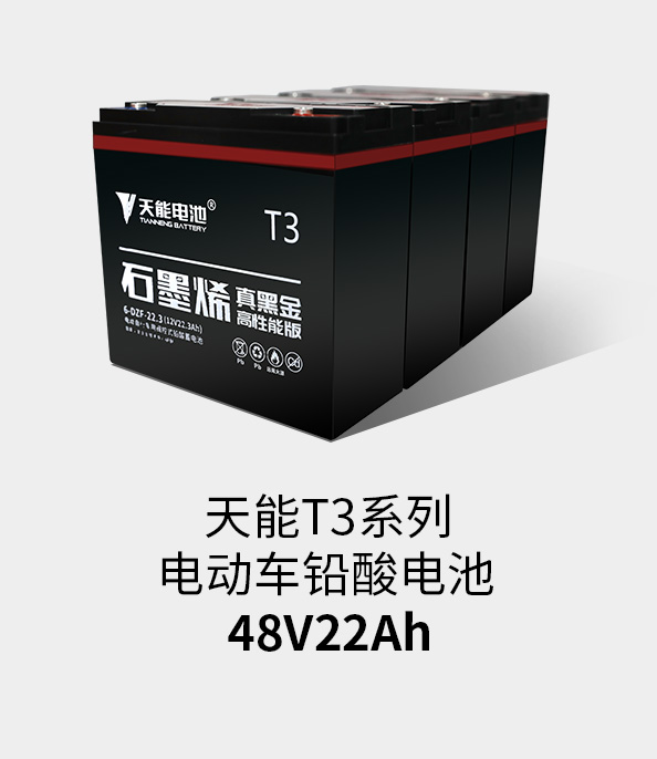 9599九五至尊T3系列48v22ah