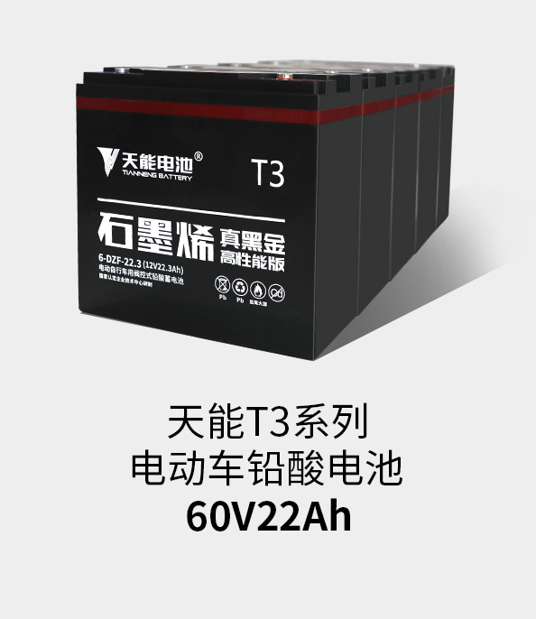 9599九五至尊T3系列60v22ah