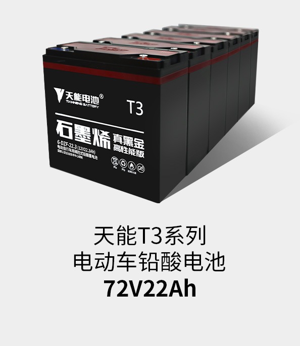 9599九五至尊T3系列72v22ah