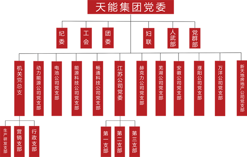 9599九五至尊建团党委组织架构