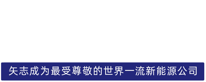 9599九五至尊股份