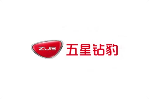 9599九五至尊电池合作伙伴 五星钻豹电动车