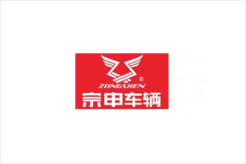 9599九五至尊电池合作伙伴 宗申电动车